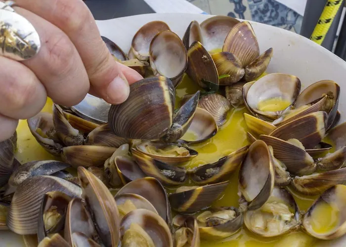 B74 - Baluarte Flat In לאגוּ‏ש